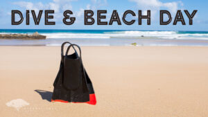 Dive & Beach Day